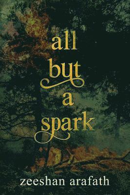 All but a Spark 1