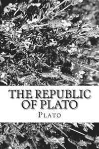 bokomslag The Republic of Plato