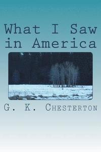 bokomslag What I Saw in America