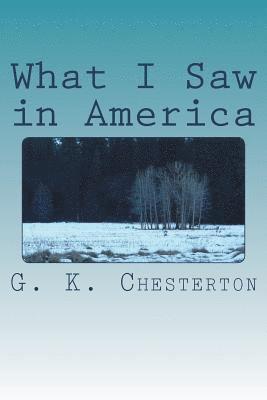bokomslag What I Saw in America