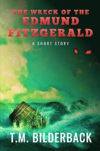 bokomslag The Wreck Of The Edmund Fitzgerald - A Short Story