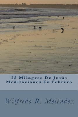 28 Milagros De Jesús Meditaciones En Febrero: Devocional 1