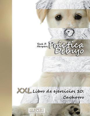 bokomslag Práctica Dibujo - XXL Libro de ejercicios 10