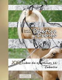 bokomslag Práctica Dibujo - XXL Libro de ejercicios 11