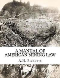 bokomslag A Manual of American Mining Law