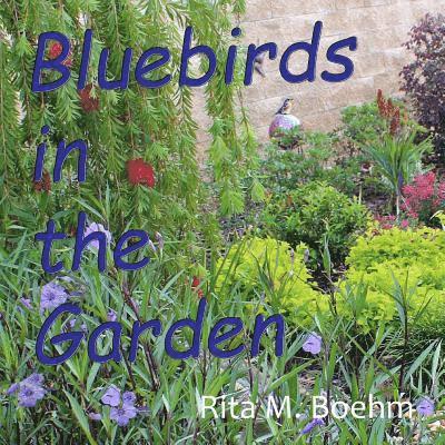 Bluebirds in the Garden 1