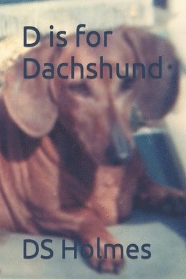 D is for Dachshund 1