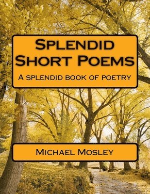 bokomslag Splendid Short Poems: A splendid book of poetry