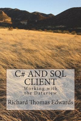 C# And SQL CLient: Working with the Dataview 1