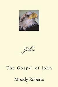bokomslag John: The Gospel of John