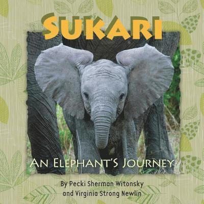 SUKARI An Elephant's Journey 1