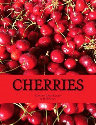 Cherries 1