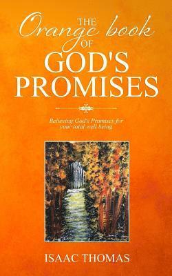 bokomslag The Orange Book of God's Promises: Believing God's promises for your total well being