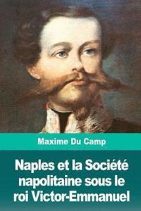 bokomslag Naples et la Société napolitaine sous le roi Victor-Emmanuel