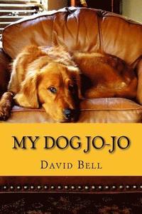 bokomslag My Dog Jo-Jo