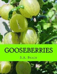 bokomslag Gooseberries