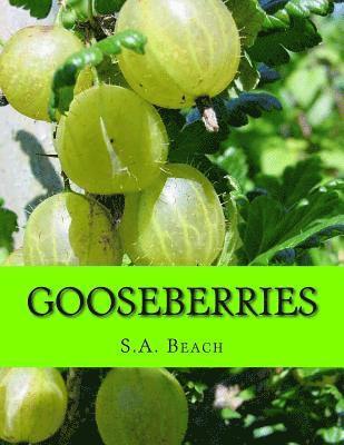 Gooseberries