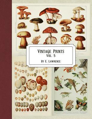 Vintage Prints: Vol. 5 1