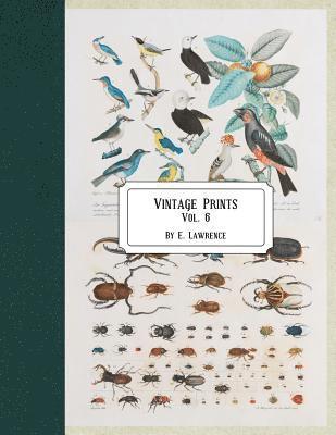 Vintage Prints: Vol. 6 1