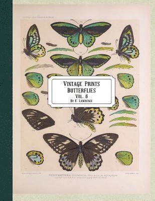 bokomslag Vintage Prints: Butterflies: Vol. 3