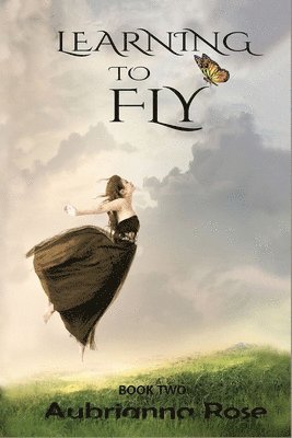 Learning To Fly 1