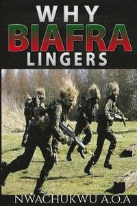 bokomslag Why Biafra Lingers