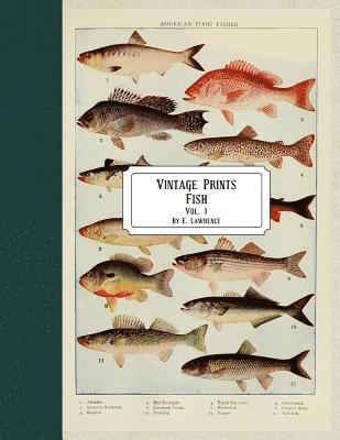 Vintage Prints: Fish: Vol. 1 1