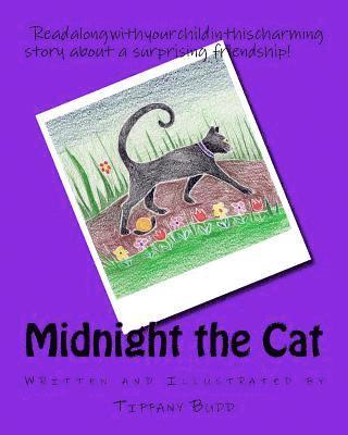 Midnight the Cat 1