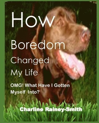 How Boredom Changed My Life: OMG! What Have I Gotten Myself Into? 1