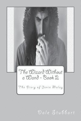 bokomslag Wizard Without a Wand - Book 2