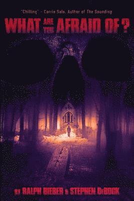 Stephen M. Debock, Ralph W. Bieber - What Are You Afraid Of?, Häftad