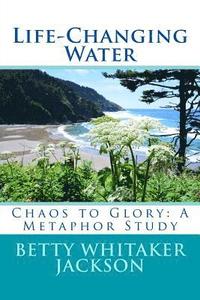 bokomslag Life-Changing Water: Chaos to Glory: A Metaphor Study