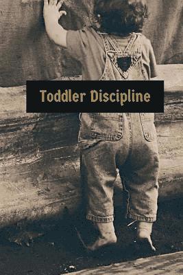 bokomslag Toddler Discipline