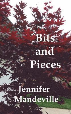 Bits and Pieces: A Young Girl's Musings 1