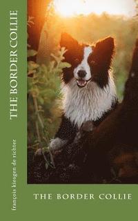 bokomslag The border collie: the border collie