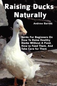 bokomslag Raising Ducks Naturally: Guide For Beginners On How To Raise Healthy Ducks Without A Pond, How to Feed Them, And Take Care for Them