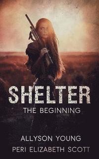 bokomslag Shelter: The Beginning