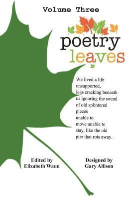Various Poets - Poetry Leaves: Adult Contemporary, Häftad
