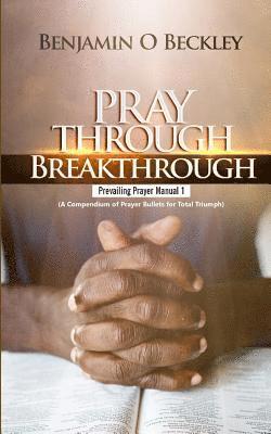Pray Through Breakthrough: Prevailing Prayer Manual 1 (a Compendium of Prayer Bullets for Total Triumph) 1