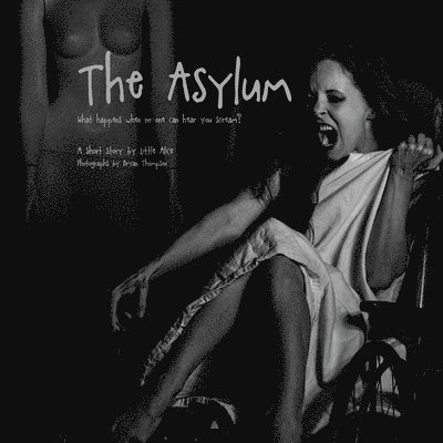 The Asylum: What happens when no one can hear you scream? 1