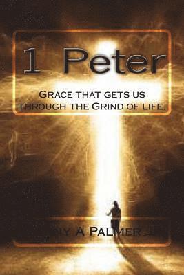 bokomslag 1 Peter: Grace that gets us through the Grind of life.