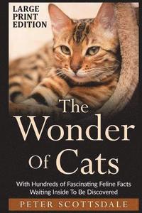 bokomslag The Wonder Of Cats Large Print Edition