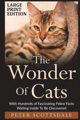 The Wonder Of Cats Large Print Edition 1