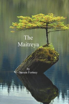 bokomslag The Maitreya