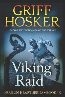 bokomslag Viking Raid