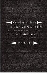 bokomslag Filling the Afterlife from the Underworld: Last Train Home: Case files from the Raven Siren