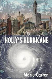 bokomslag Holly's Hurricane