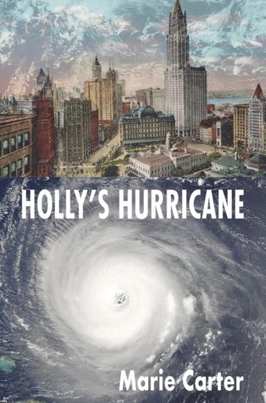 bokomslag Holly's Hurricane