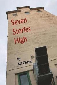 bokomslag Seven Stories High: A collection of short stories about delusion vs. reality.