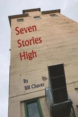 Bill Chavez - Seven Stories High: A collection of short stories about delusion vs. reality., Häftad